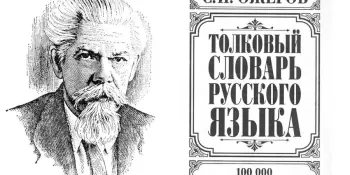 Школьная библиотека. 125 лет со дня рождения С. И. Ожегова