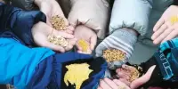 Акция "Покормите птиц зимой!"