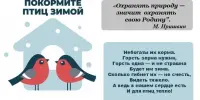 Покормите птиц! Или как 1-й "В" взял под крыло зимующих пернатых друзей