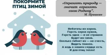 Маленькие герои большого дела: как первый "В" спасает пернатых от холода