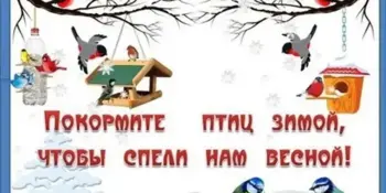 Акции "Поддержи птиц" и "Зимующим птицам — нашу заботу"