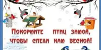 Акции "Поддержи птиц" и "Зимующим птицам — нашу заботу"