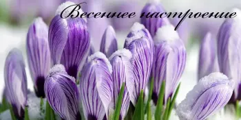 Концерт "Весеннее настроение"