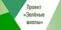 Дышать легко: восьмиклассники взялись за чистоту воздуха