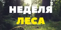 Участие в Республиканской акции "Неделя леса"